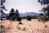 flagstaff real estate for sale